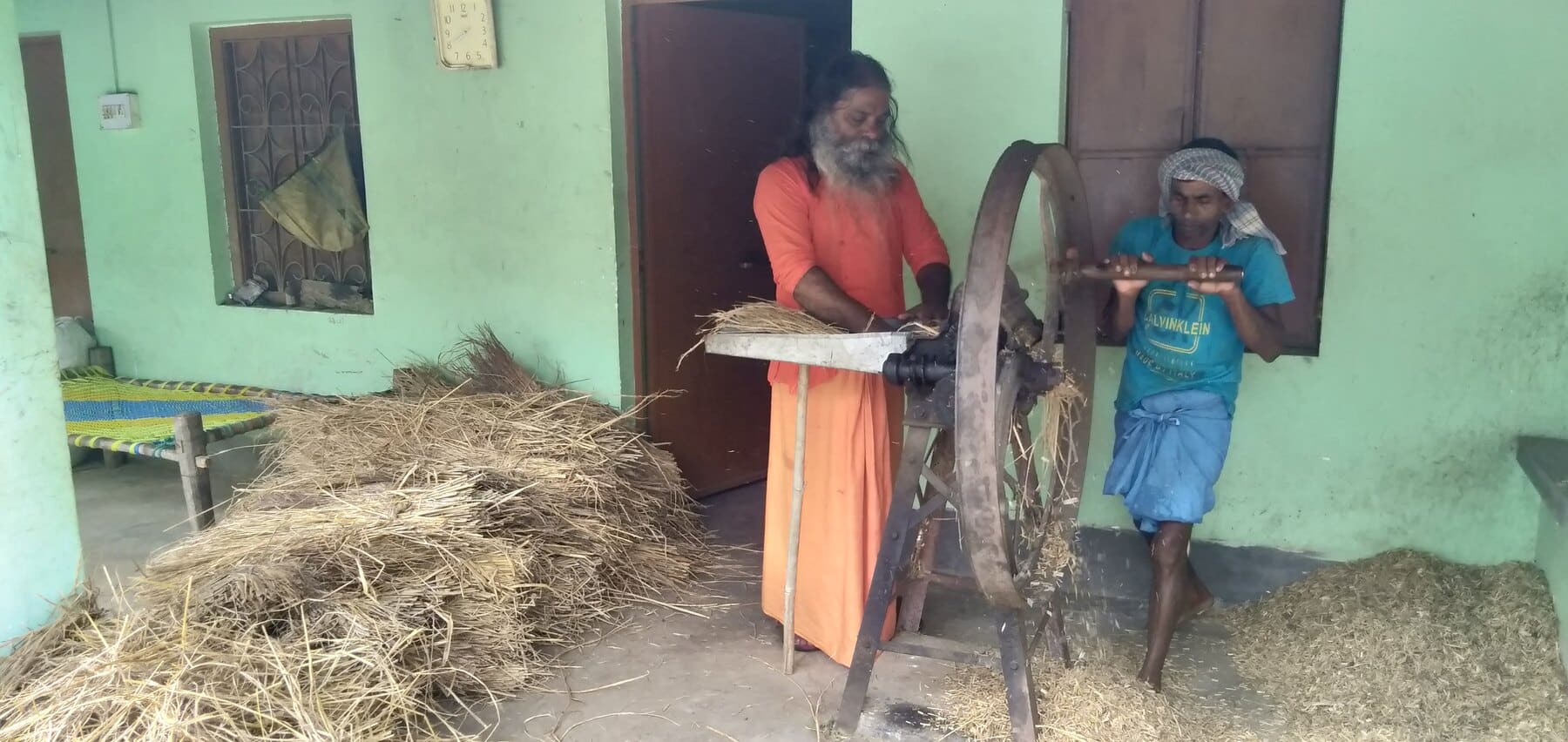 Farm workers preparing cattle fodder by hand at Ánanda Nagar