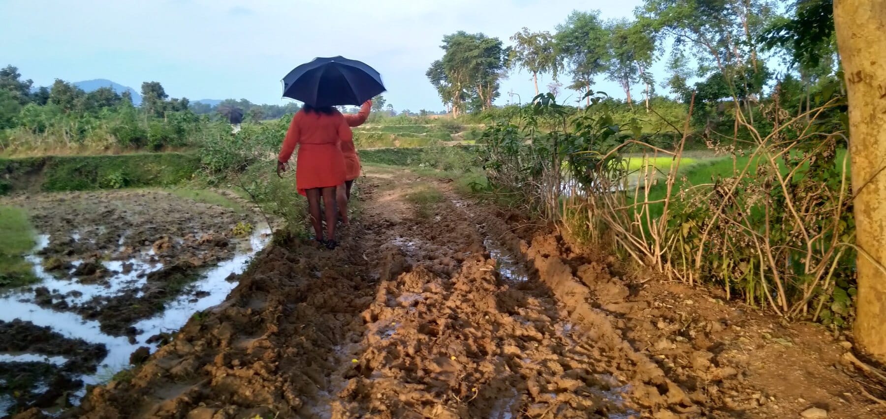 A worker maintaining the channels between cultivated fields at Ánanda Nagar
